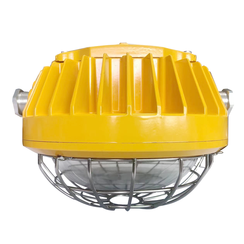 矿用隔爆型LED巷道感应灯-DGS51/127LW(A)